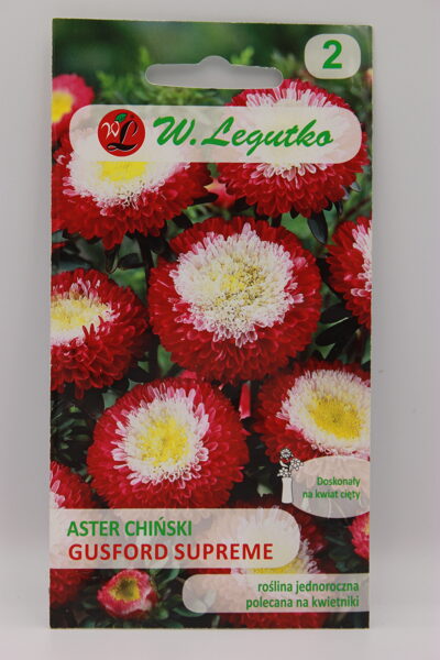 Asteres Ķīnas pomponu