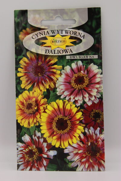 Cinijas dālijziedu Mix