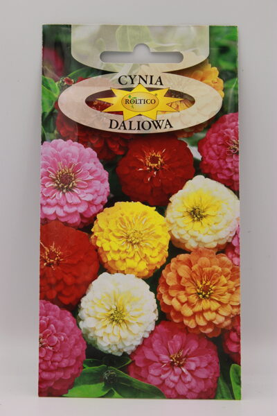 Cinijas dālijziedu Mix