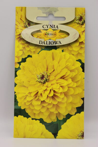 Cinijas dālijziedu dzeltenas