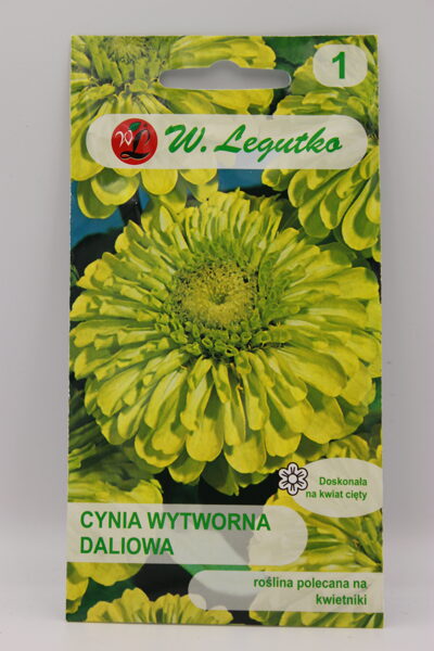 Cinijas dālijziedu Envy