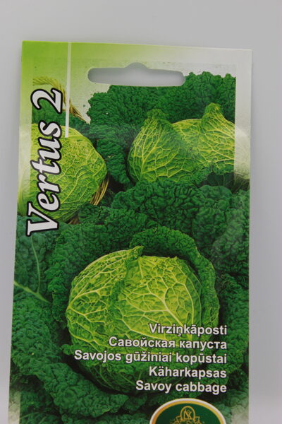 Virziņkāposti Vertus