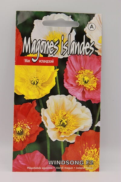 Magones islandes Windsong F2