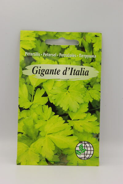 Pētersīļi lapu Gigante d Italia