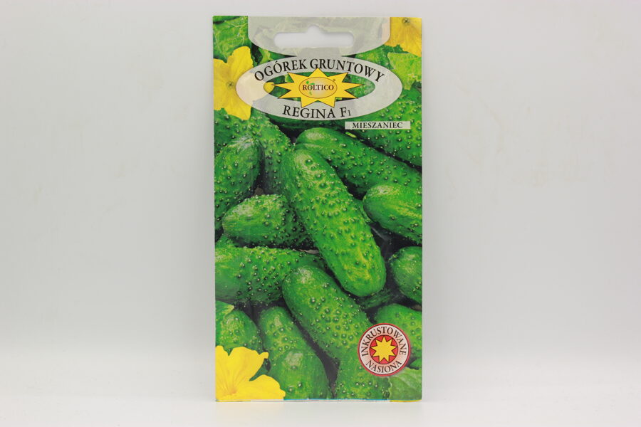 Gurķi lauka Regina F1