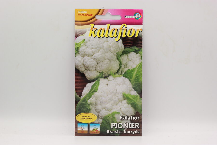 Ziedkāposti Pionier