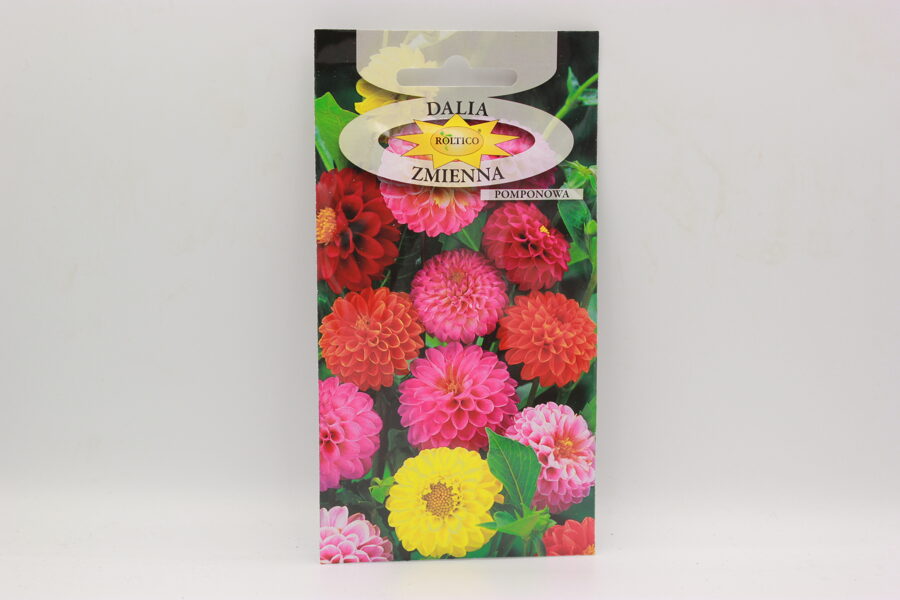 Vasaras dālijas pomponu