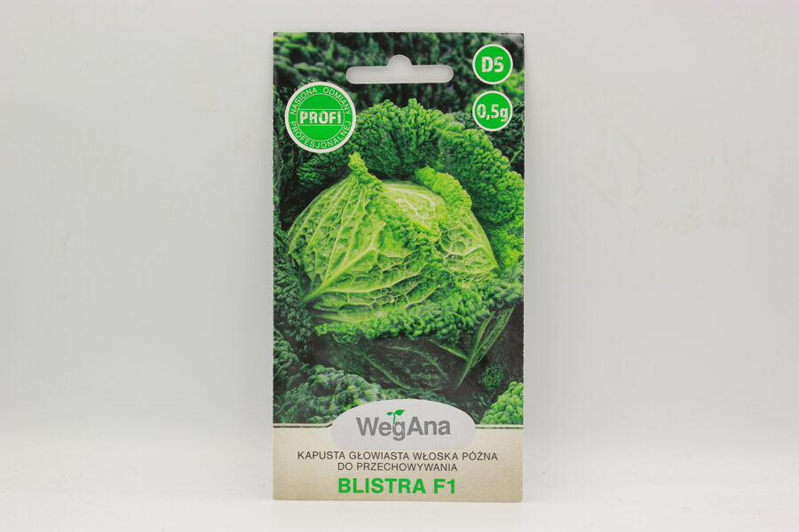 savojas kāposti Bristra F1