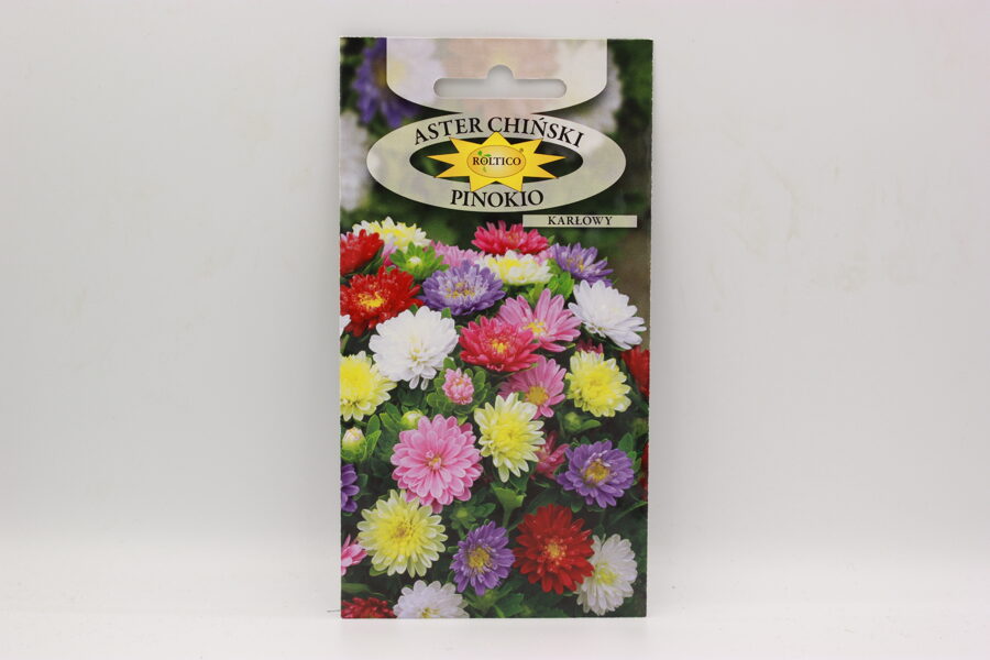 Pundurasteru maisijums