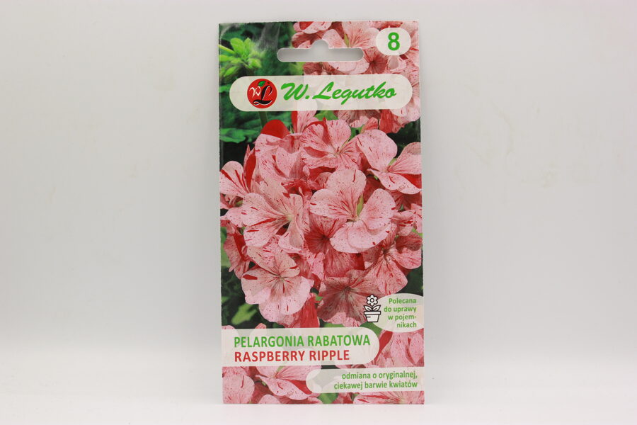 Pelargonijas Raspberry Ripple