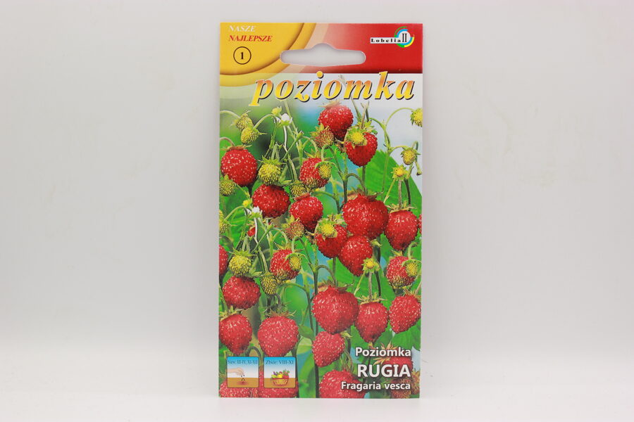 Mēnešzemenes Rugia